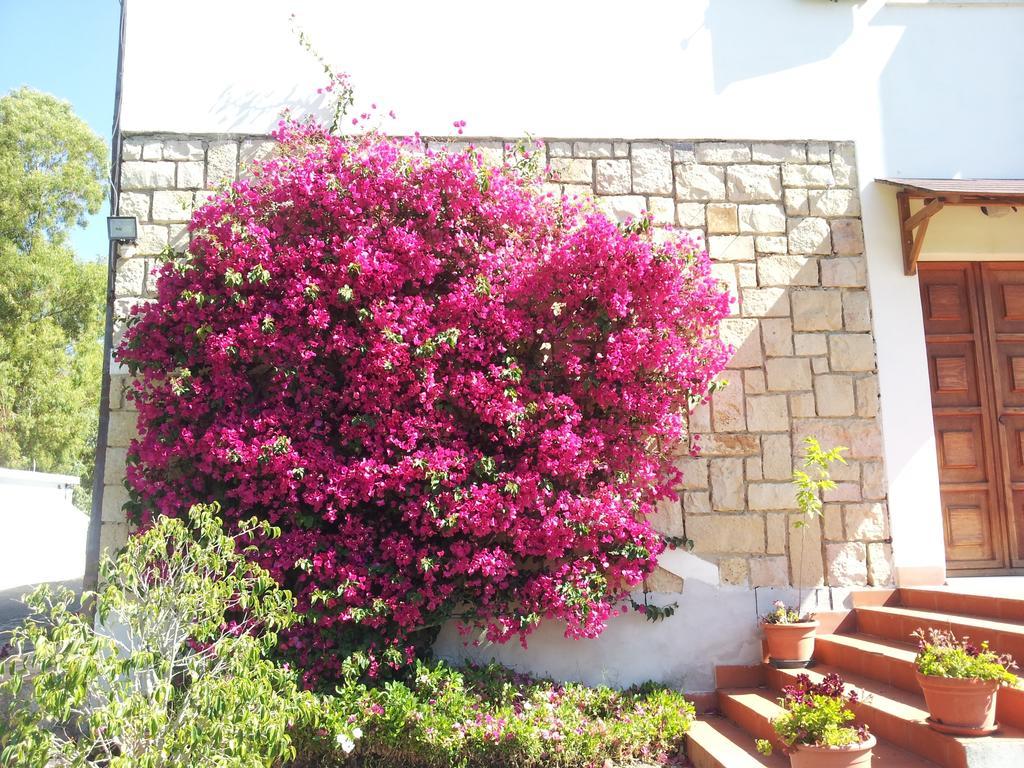 Al Sole Di Pula Bed & Breakfast Exterior photo